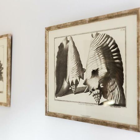자다르 Casa Ana 아파트 외부 사진